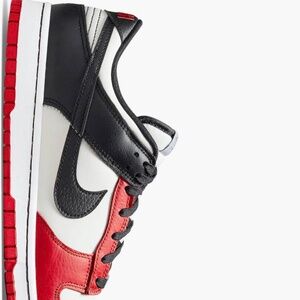 Nike Dunks 75th anniversary NBA edition